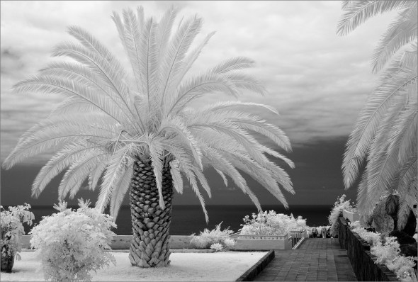 Nikon D300 - Infrared 830nm - Nikkor AF-S VR 3.5-5.6/18-55mm