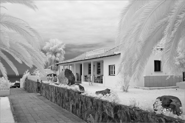 Nikon D300 - Infrared 830nm - Nikkor AF-S VR 3.5-5.6/18-55mm