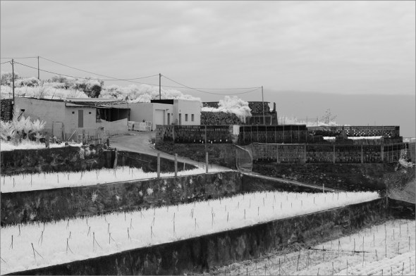 Nikon D300 - Infrared 830nm - Nikkor AF-S VR 3.5-5.6/18-55mm