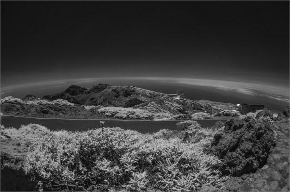 D300_IR830nm_2397_1000px