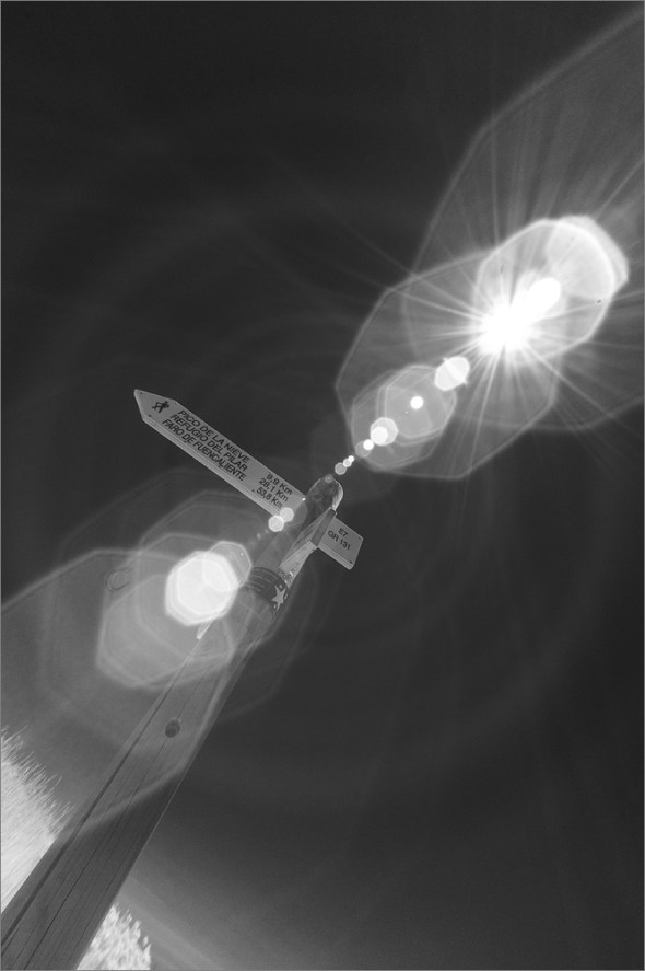 D300_IR830nm_2400_1000px