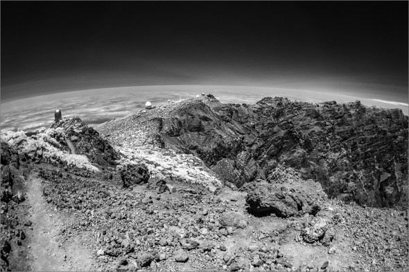 D300_IR830nm_2412_1000px