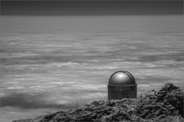 D300_IR830nm_2438_1000px