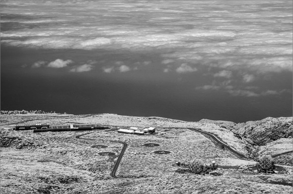 D300_IR830nm_2439_1000px