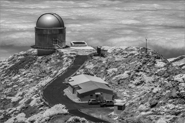 D300_IR830nm_2442_1000px