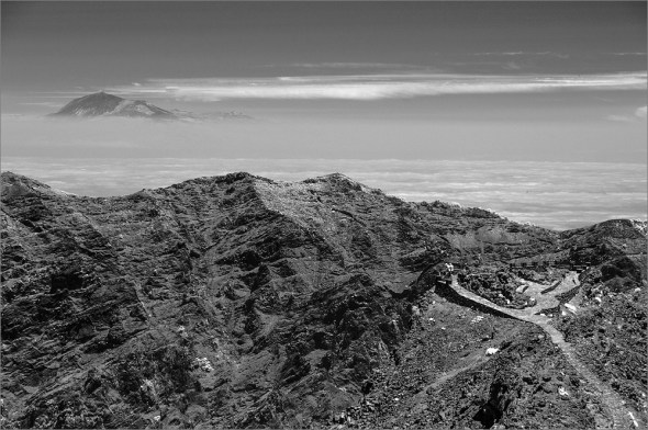 D300_IR830nm_2464_1000px