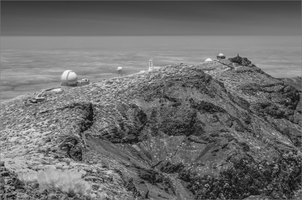 D300_IR830nm_2487_1000px