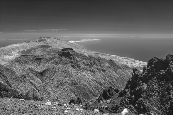 D300_IR830nm_2497_1000px