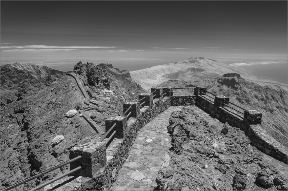 D300_IR830nm_2600_1000px