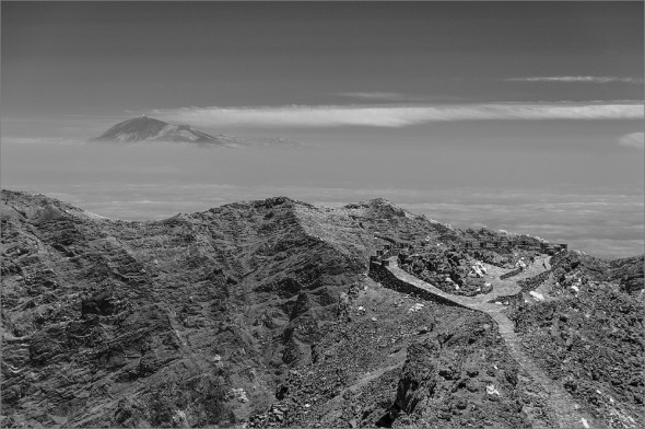 D300_IR830nm_2647_1000px