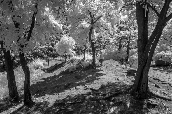 Nikon D300 - Infrared 830nm - Infrarot