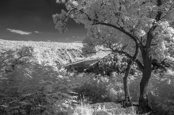 Nikon D300 - Infrared 830nm - Infrarot