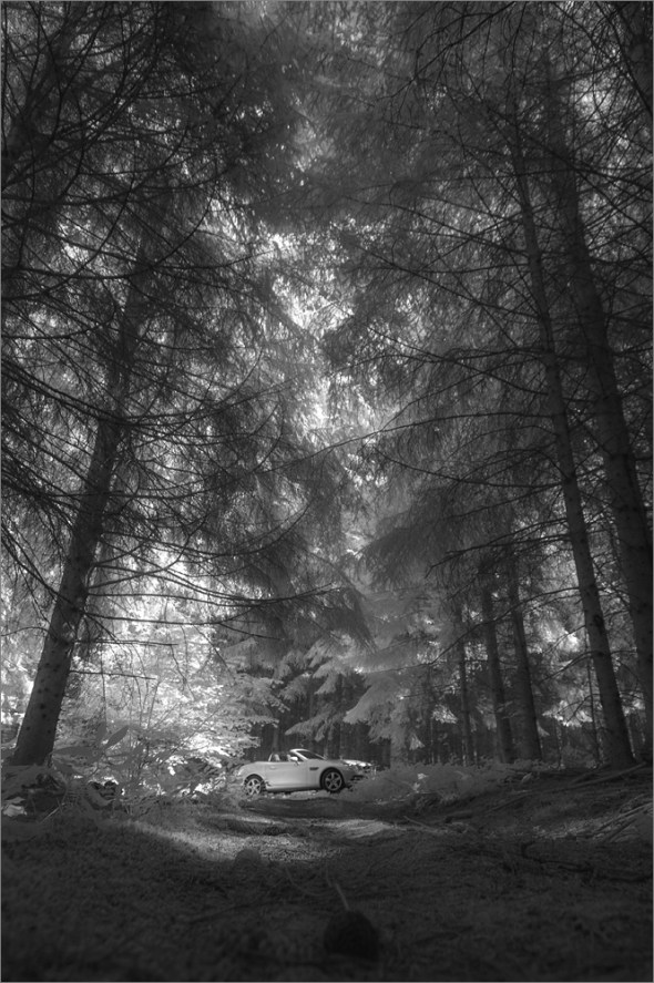 Nikon D300 - Infrared 830nm - Infrarot