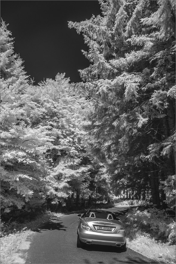 Nikon D300 - Infrared 830nm - Infrarot