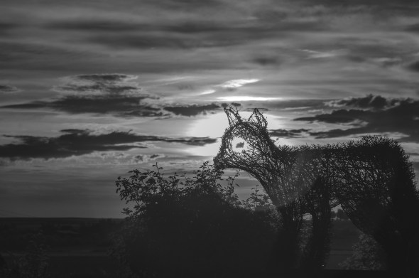 Nikon D300 - Infrared 830nm - Infrarot