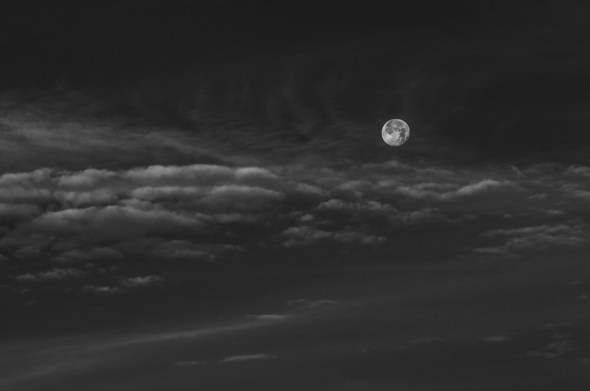 Nikon D300 - Infrared 830nm - Infrarot