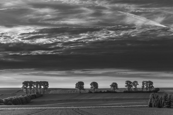 Nikon D300 - Infrared 830nm - Infrarot