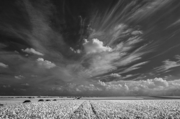 Nikon D300 - Infrared 830nm - Infrarot