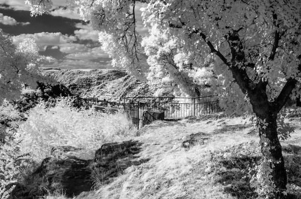 Nikon D300 - Infrared 830nm - Infrarot