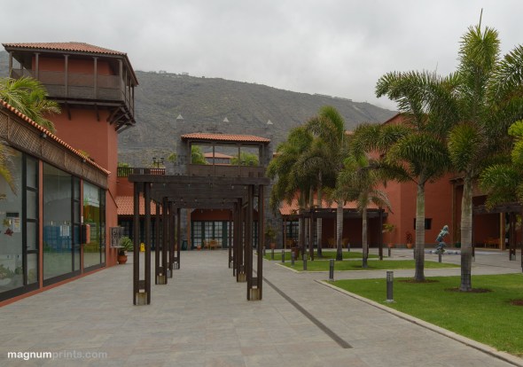 D800E_0665_Rokinon_35_24mm_Shift_Tilt