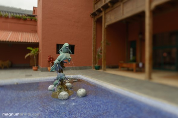 D800E_0667_Rokinon_35_24mm_Shift_Tilt