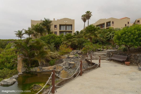 D800E_0700_Rokinon_35_24mm_Shift_Tilt