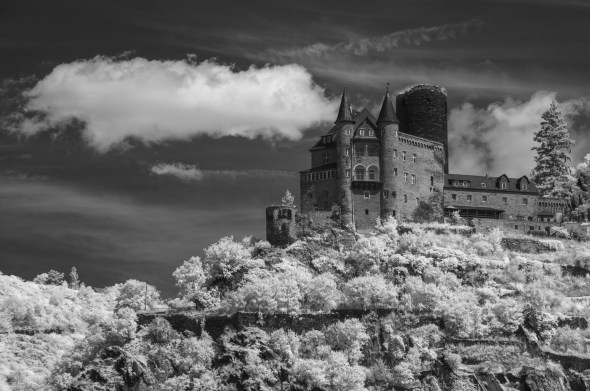 D300_IR830nm_4205_1920px