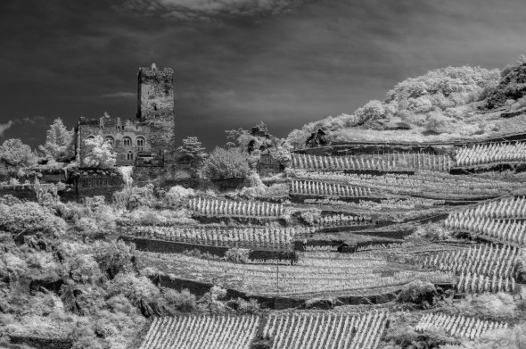 D300_IR830nm_4242_1920px