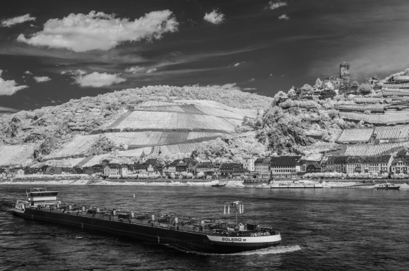 D300_IR830nm_4353_1920px