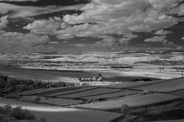 D300_IR830nm_4374_1920px