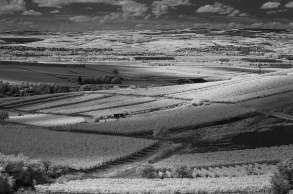 D300_IR830nm_4393_1920px