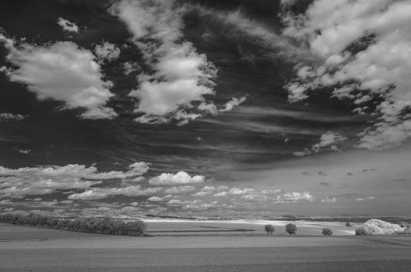 D300_IR830nm_4496_1920px