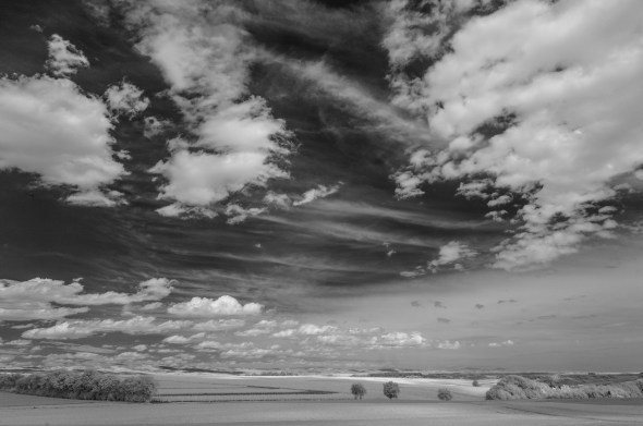 D300_IR830nm_4503_1920px