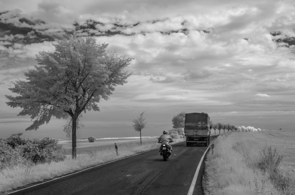 D300_IR830nm_4575_1920px