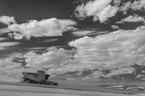 D300_IR830nm_4598_1920px