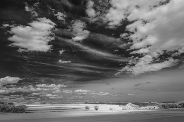 D300_IR830nm_4604_1920px