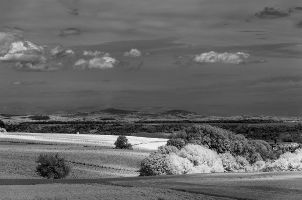 D300_IR830nm_4658_1920px