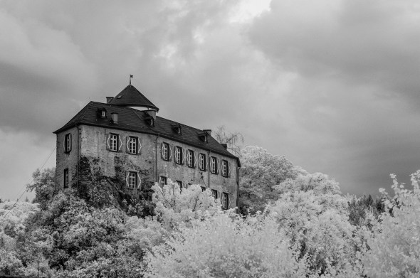 D300_IR830nm_4753_1920px