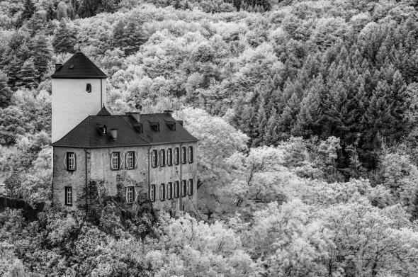 D300_IR830nm_4764_1920px