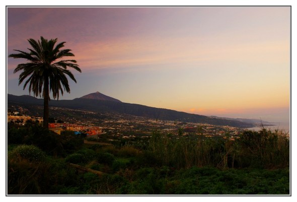 kitsch-de-canarias-0a13eafc-b27c-4cd1-8743-5464d257817d