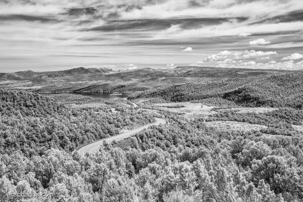 Nikon_1V1_IR700nm_DSC6016