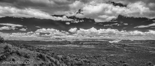 Nikon_1V1_IR700nm_DSC6190