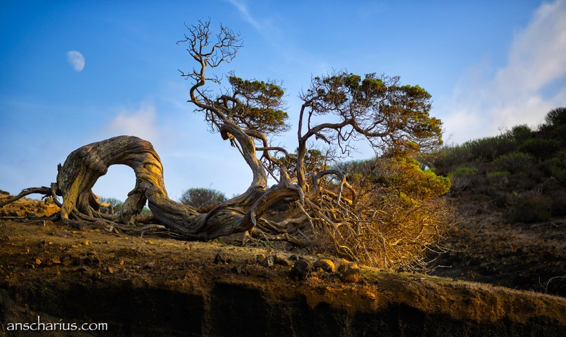 El Hierro,100 Days of Freedom, Motorrad, Reise, Abenteuer, Fotografie, Motorradreise, Kanaren, Teneriffa, Abenteuer, Adeventur, BMW K1200r Sport,
