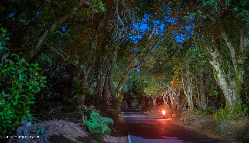 El Hierro,100 Days of Freedom, Motorrad, Reise, Abenteuer, Fotografie, Motorradreise, Kanaren, Teneriffa, Abenteuer, Adeventur, BMW K1200r Sport,