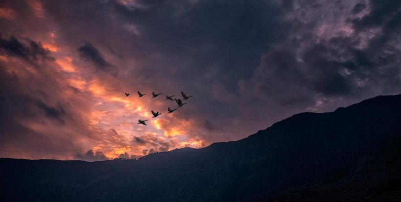 El Hierro,100 Days of Freedom, Motorrad, Reise, Abenteuer, Fotografie, Motorradreise, Kanaren, Teneriffa, Abenteuer, Adeventur, BMW K1200r Sport,